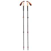 Bâtons randonnée Black Diamond Trail Cork Trekking Poles