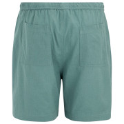 Shorts homme Regatta Hadlin Shorts
