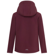 Veste softshell enfant Regatta Haydenbury Fig