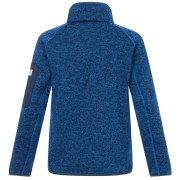 Sweatshirt enfant Regatta Junior Newhill Aviator Blue Golden Cypress