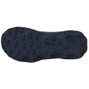 Chaussures homme Salomon Ultra Flow 2