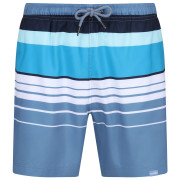 Short homme Regatta Loras Swim Short m bleu / bleue claire Coronet Blue Stripe