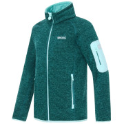 Sweatshirt enfant Regatta Junior Newhill DrkForGlacGr