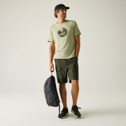 Shorts homme Regatta Arlery Shorts