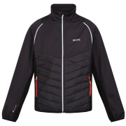 Veste homme Regatta Steren Hybrid vert Ash/Black