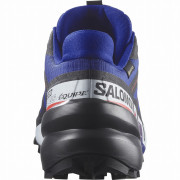 Chaussures homme Salomon Speedcross 6 Gore-Tex Equipe