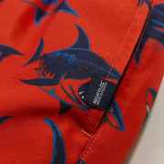 Maillot bain enfant Regatta Skander RusOranShark