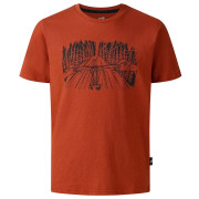 T-shirt enfant Dare 2b Trailbazer III Tee Arabian Spice brun ArabianSpice