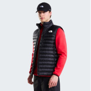 Gilet homme The North Face M Terra Peak Vest