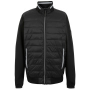 Veste homme Regatta Brennon Hybrid