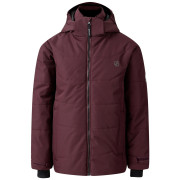 Veste d'hiver enfants Dare 2b Explorer Jacket violet Fig
