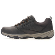 Chaussures homme Regatta Amble Low WP