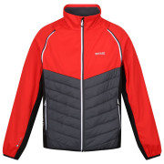 Veste homme Regatta Steren Hybrid rouge Seville/SlGr