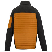 Veste homme Regatta Ceden Hybrid