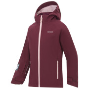 Veste d'hiver fille Regatta Girls Trekktain 3-in-1 II FigPowLilac