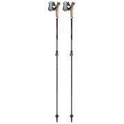 Bâtons de marche nordique Leki Poles Instructor Lite noir / rouge dark anthracite-silvergray-bright red