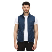 Gilet homme Regatta Lankin IV