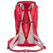 Sac à dos Salewa Alp Trainer 25