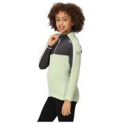 Sweatshirt enfant Regatta Hewley