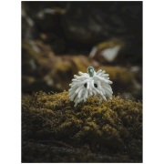 Sac à magnésie Midnight Lightning Chalktopus