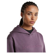 Veste polaire fonctionnelle femme Icebreaker W Mer 360 RealFleece Elemental LS Hood