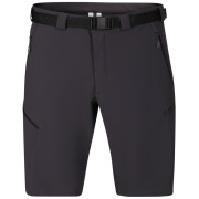 Shorts homme Direct Alpine Cruise Shorts 3.0 noir / gris anthracite