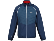 Vestes