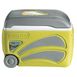 Boîte de refroidissement Pinnacle Proxon 45L gris / jaune Lime