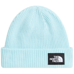 Bonnet The North Face Salty Lined Beanie