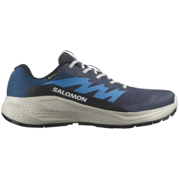 Chaussures de running hommes Salomon Alphaglide Gore-Tex