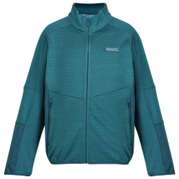 Sweatshirt enfant Regatta Highton WtrFZ III bleu clair Pagoda/Drgnf