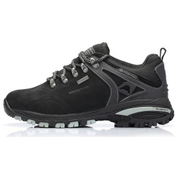Chaussures Alpine Pro Spider 2 (2015) vert