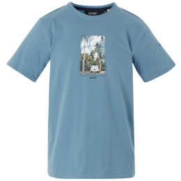 T-shirt homme Regatta Cline IX