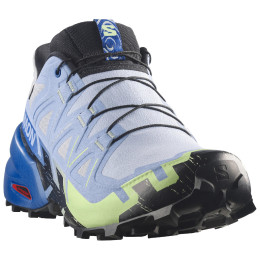 Chaussures de running hommes Salomon Speedcross 6 GTX Icon