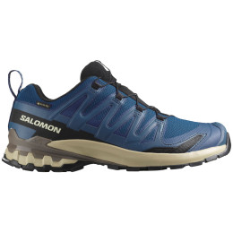 Chaussures randonnée homme Salomon Xa Pro 3D V9 Gore-Tex