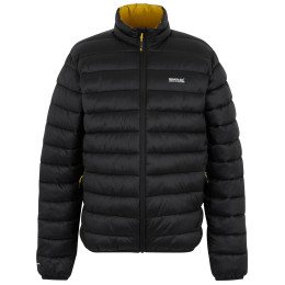 Veste homme Regatta Marizion