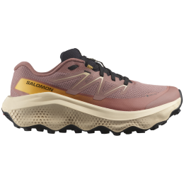 Chaussures running femme Salomon Ultra Flow 2 Gore-Tex
