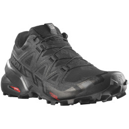 Chaussures homme Salomon Speedcross 6