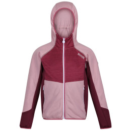 Veste enfant Regatta Prenton violet FrgntLil/Vio