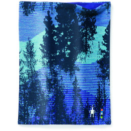 Foulard Smartwool Merino 250 Reversible Pattern vert / bleu DeepNavyForestScape