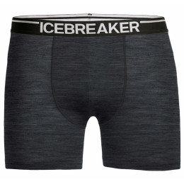 Caleçon homme Icebreaker Mens Anatomica Boxers (2018) girs Jet HTHR/Black