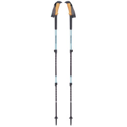 Bâtons de randonnée femme Black Diamond W's Trail Ergo Cork bleu clair AlpineLake