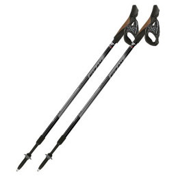 Bâton Fizan NW Speed