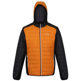 Veste homme Regatta Trutton II orange Orange Pepper/Ash