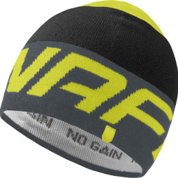 Bonnet Dynafit Radical Beanie vert / gris 0721 - cinder/0910