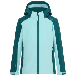 Veste softshell enfant Regatta Haydenbury Mediterranea vert / vert claire Mediterranea/Water Ballet