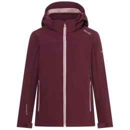 Veste softshell enfant Regatta Haydenbury Fig violet Fig Powder Lilac