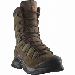 Chaussures homme Salomon Quest Tracker High Gore-Tex brun Earth Brown / Ranger Green / Black