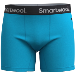 Caleçon homme Smartwool M Boxer Brief Boxed