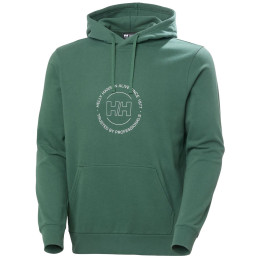 Sweat-shirt homme Helly Hansen Core Graphic Hoodie